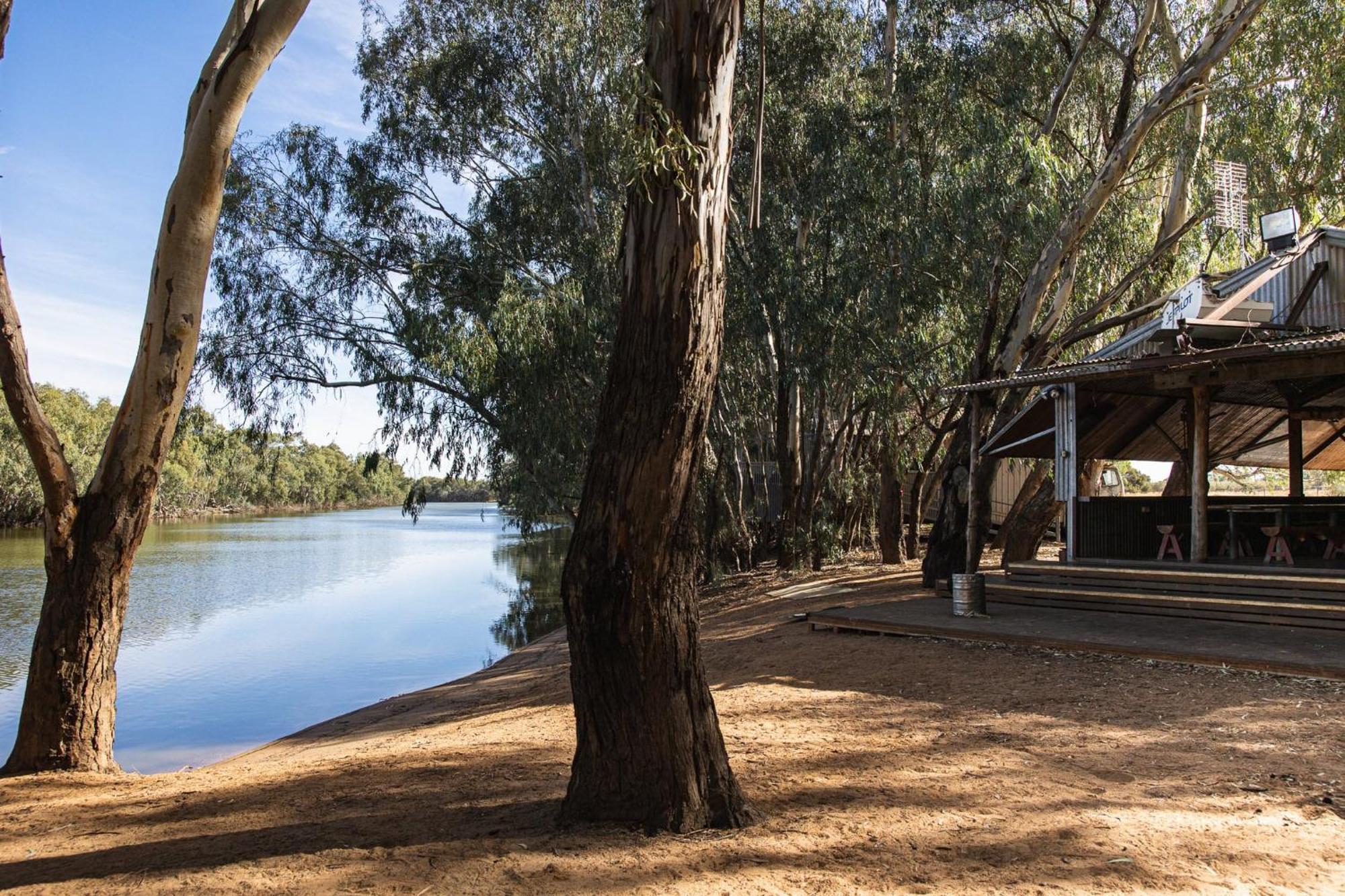 فندق Nyngan Riverside Tourist Park المظهر الخارجي الصورة